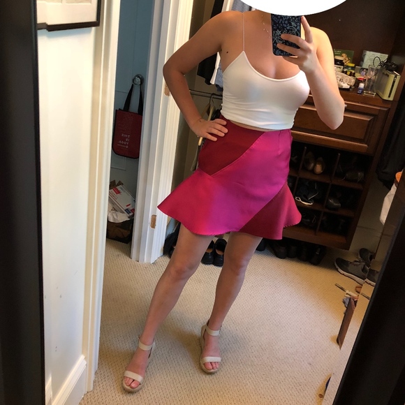 Designer Pink Skirt